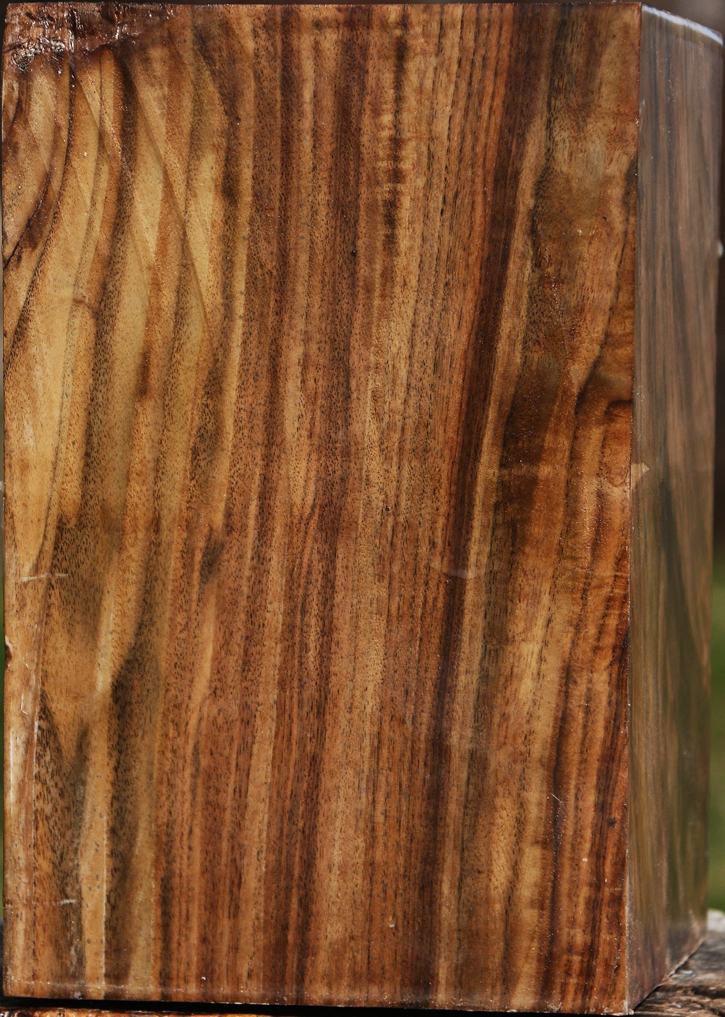 Extra Fancy Claro Walnut Vessel Blank