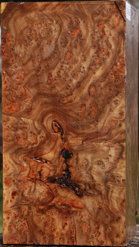 Elm Burl Vessel Blank