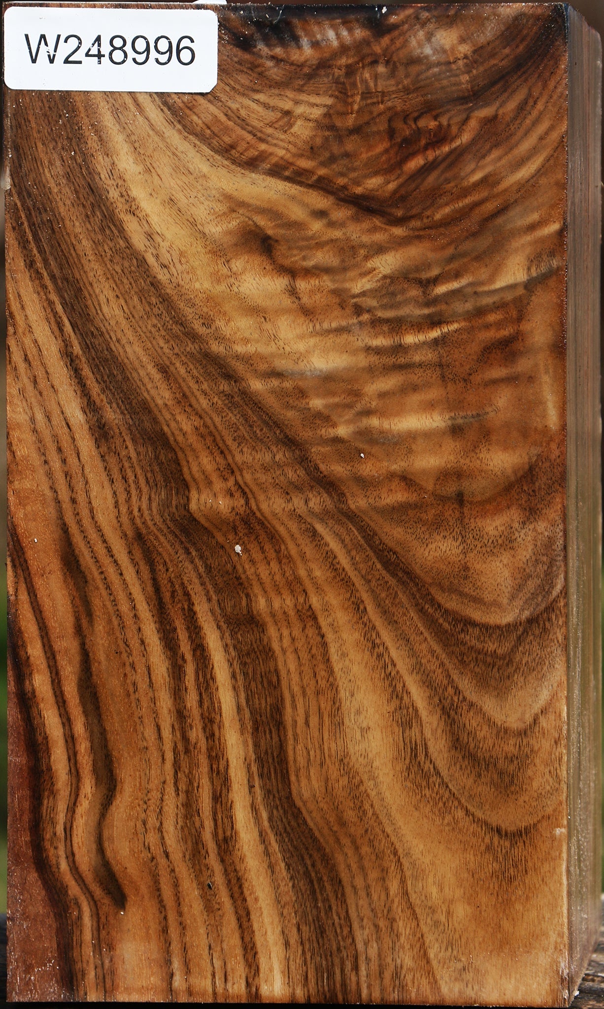 Extra Fancy Claro Walnut Vessel Blank