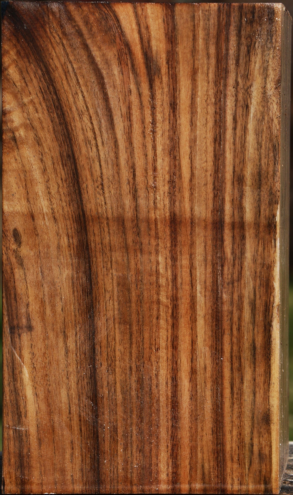 Extra Fancy Claro Walnut Vessel Blank