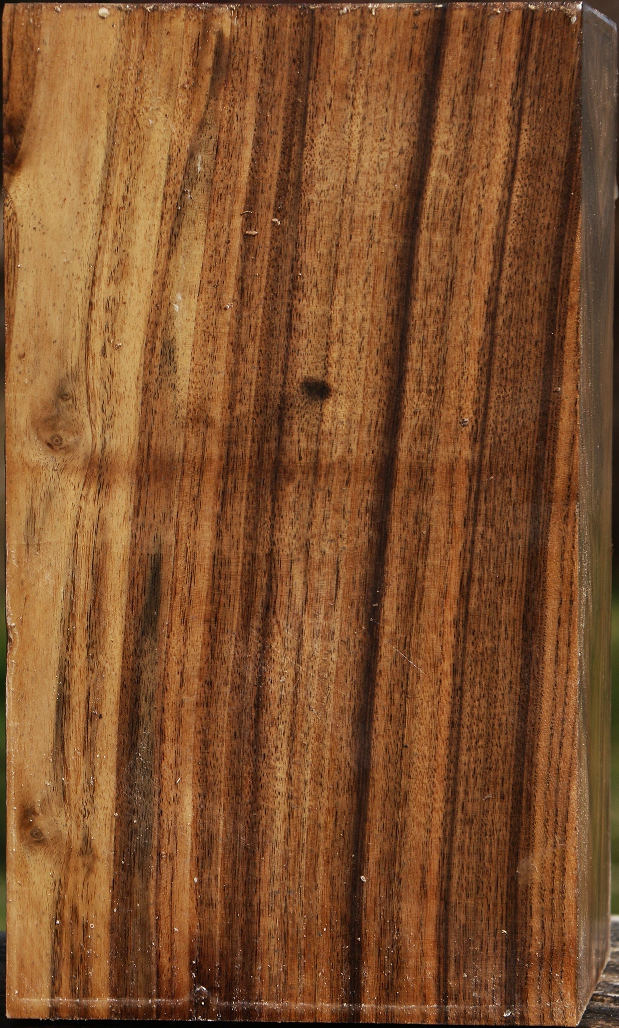 Extra Fancy Claro Walnut Vessel Blank