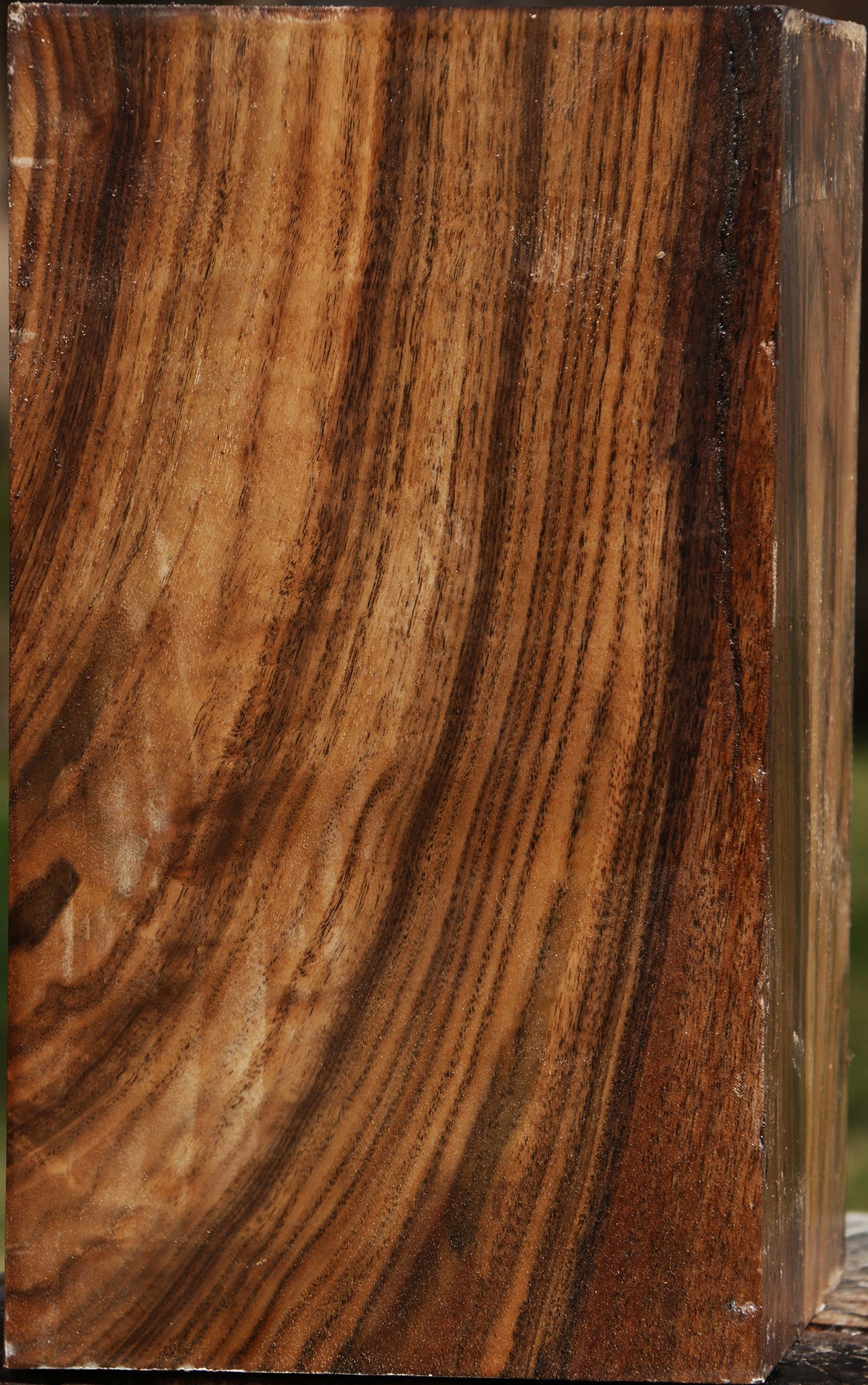 Figured Claro Walnut Vessel Blank
