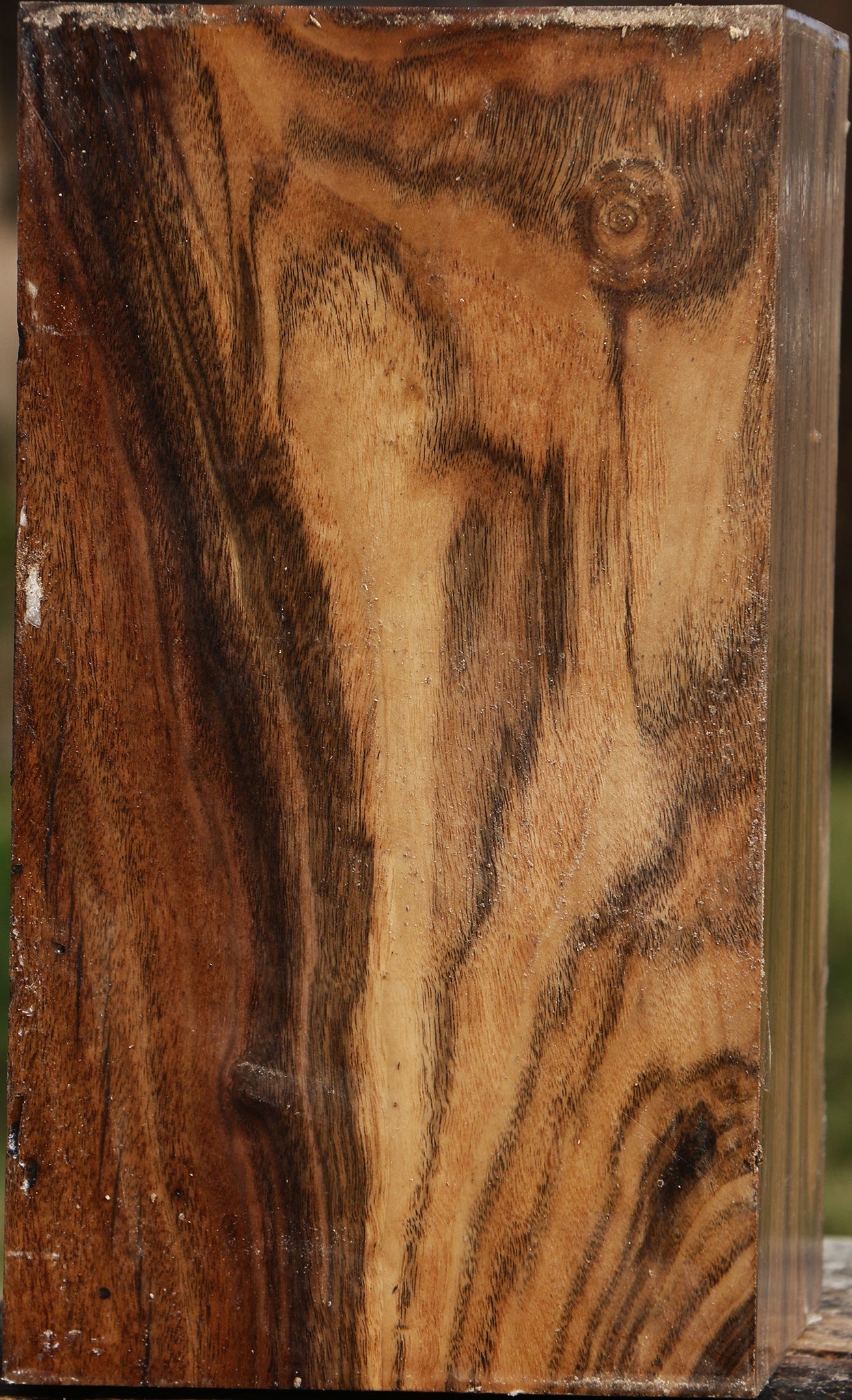Figured Claro Walnut Vessel Blank