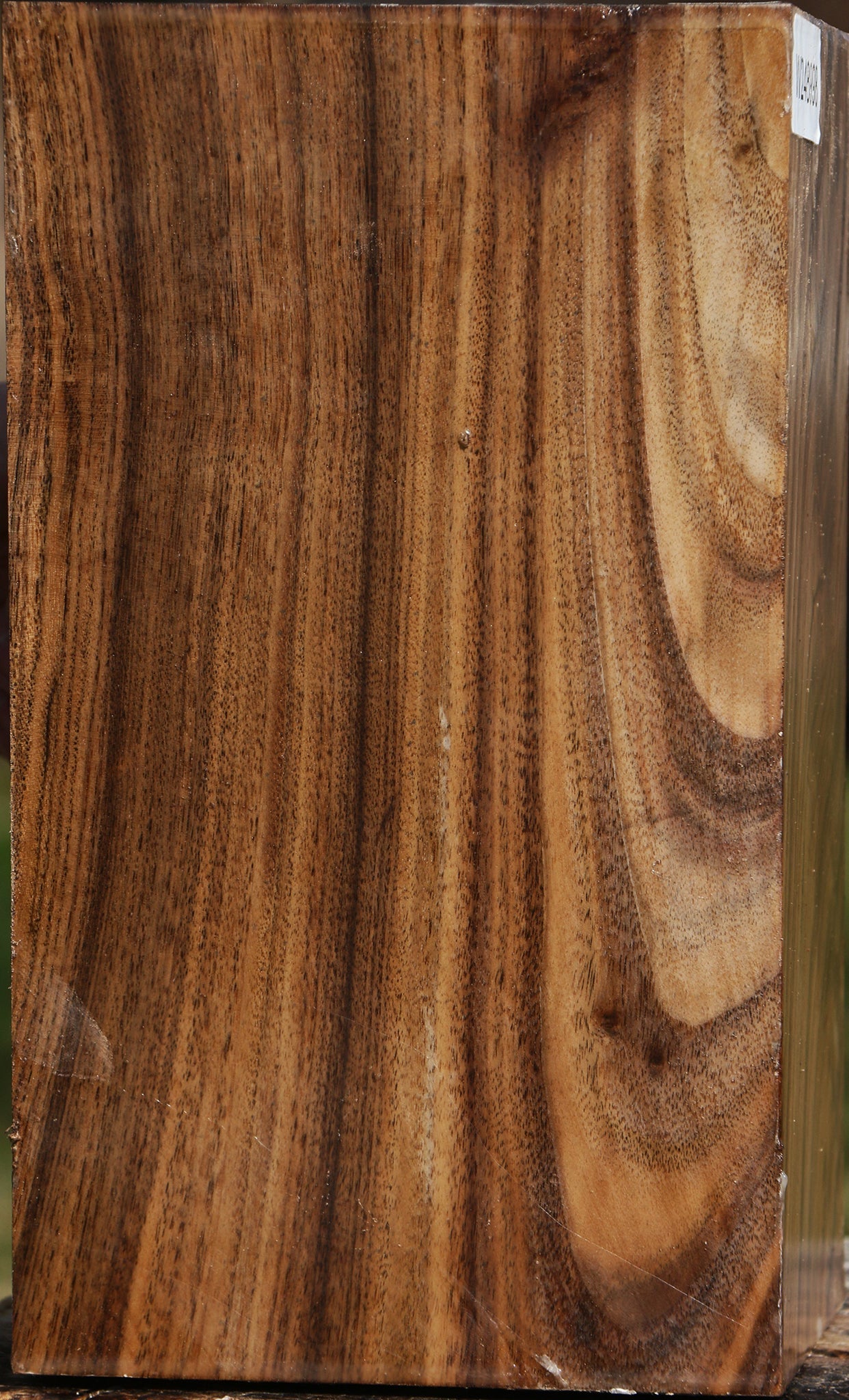 Figured Claro Walnut Vessel Blank