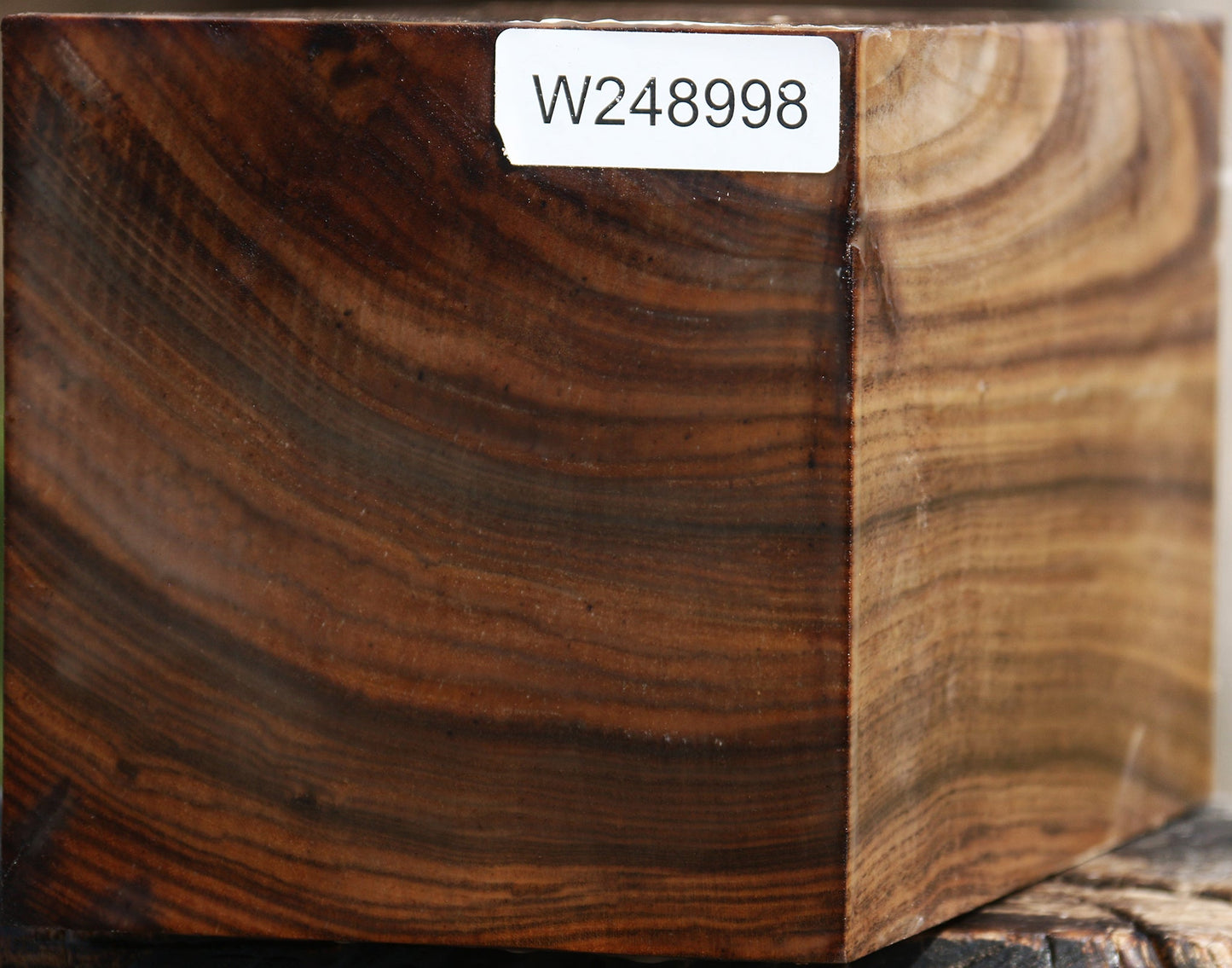 Figured Claro Walnut Vessel Blank