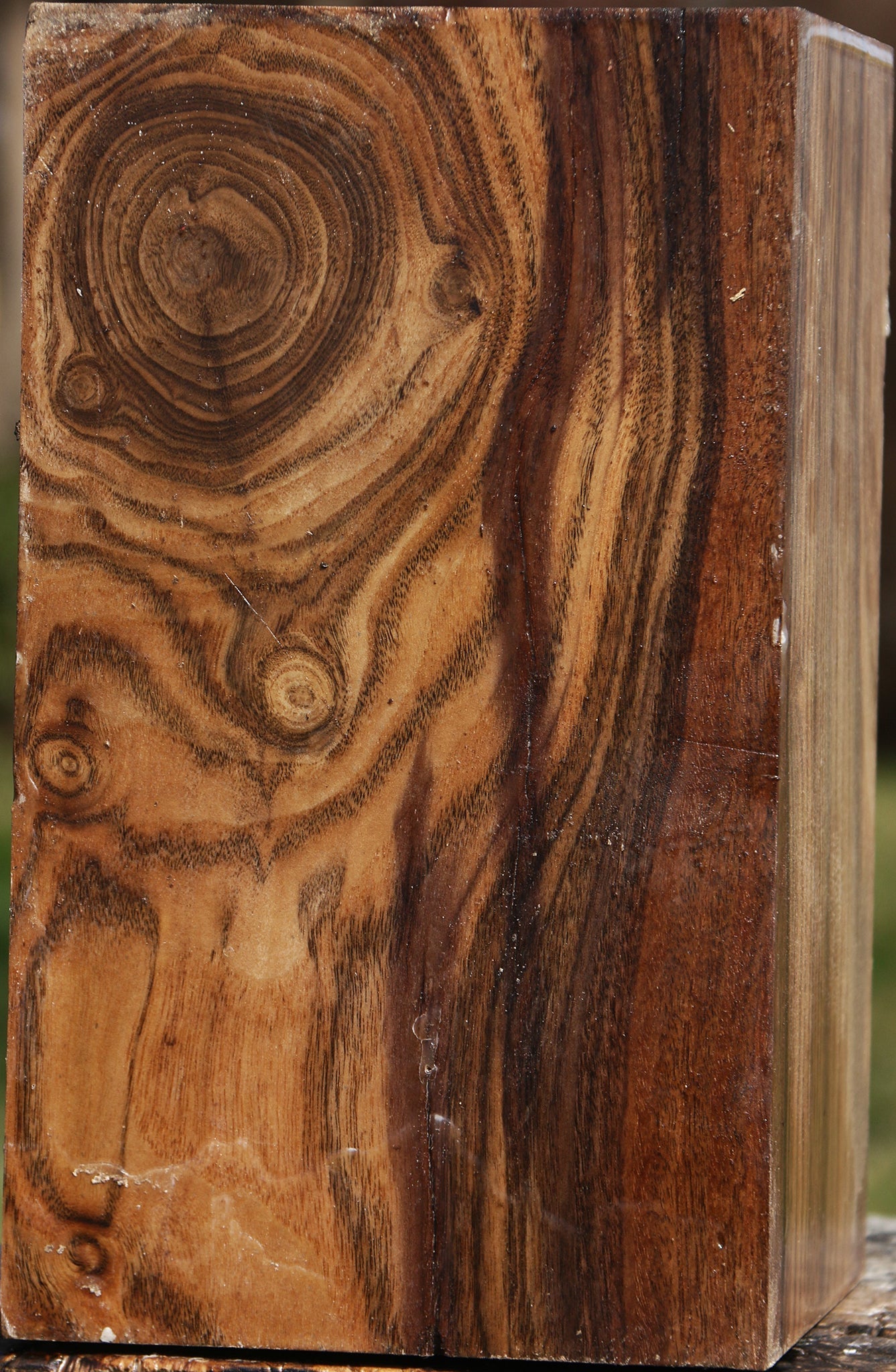 Claro Walnut Vessel Blank