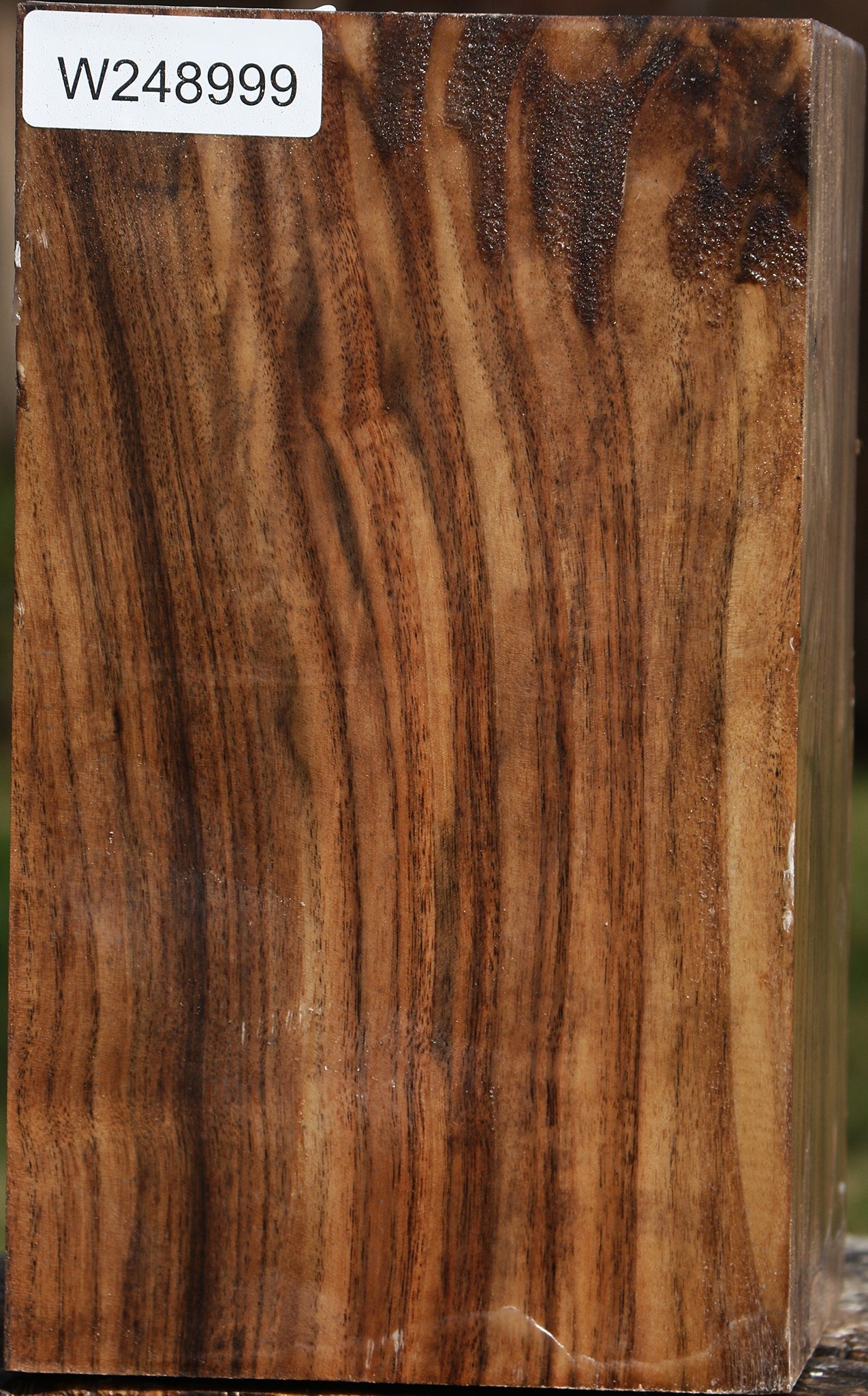 Claro Walnut Vessel Blank