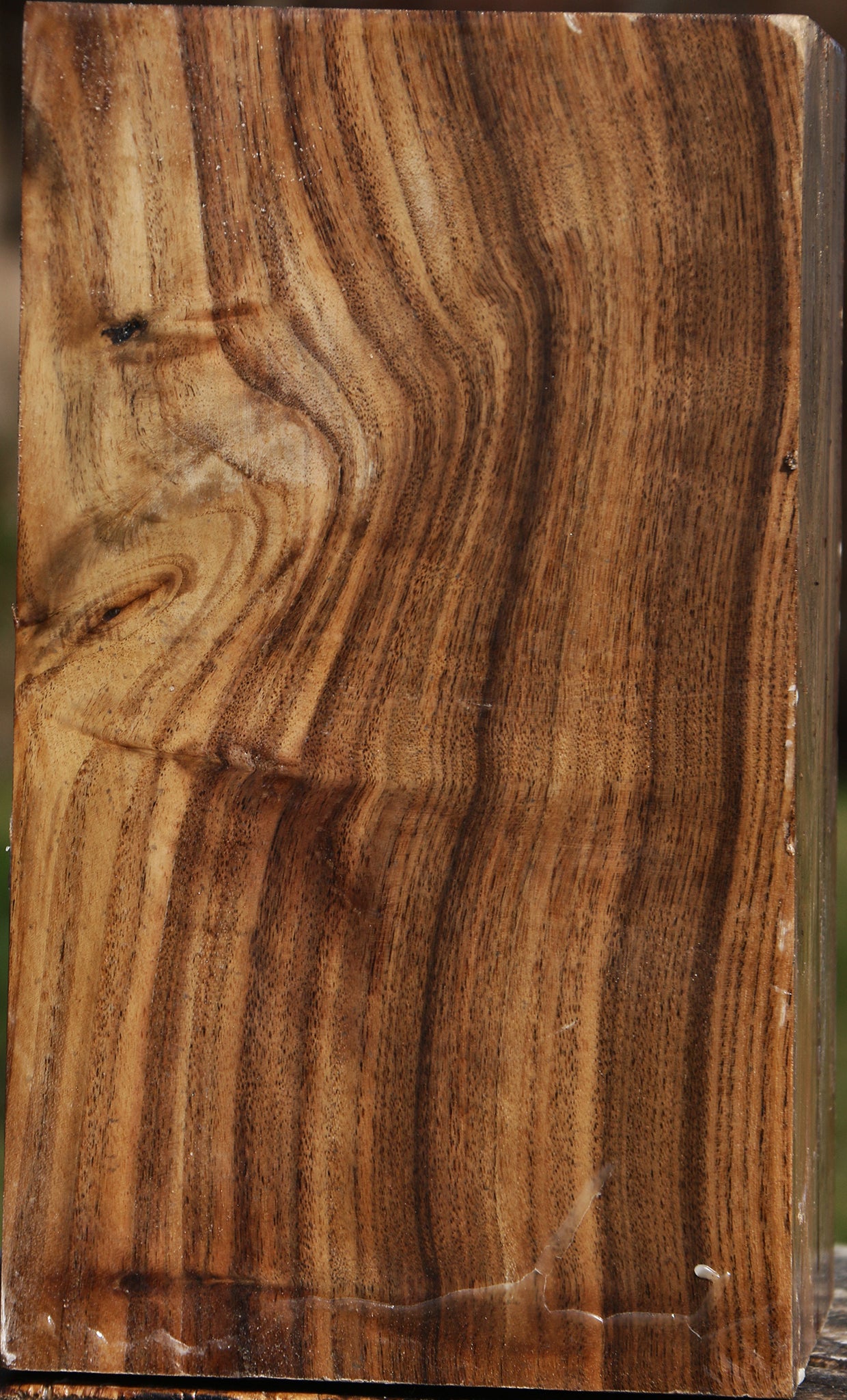 Claro Walnut Vessel Blank