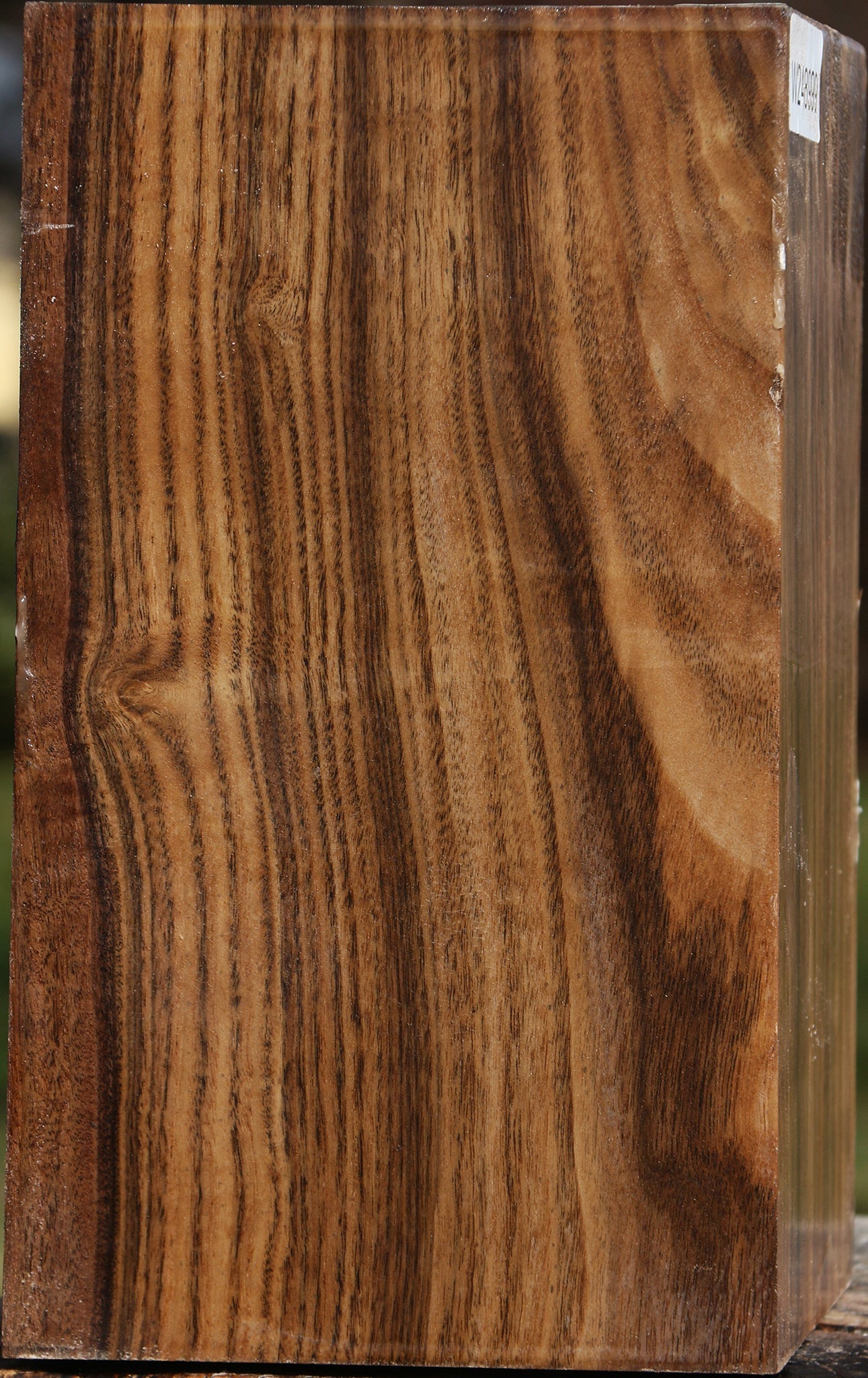 Claro Walnut Vessel Blank