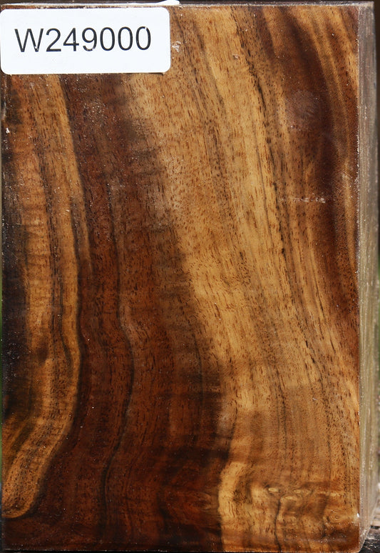Figured Claro Walnut Vessel Blank
