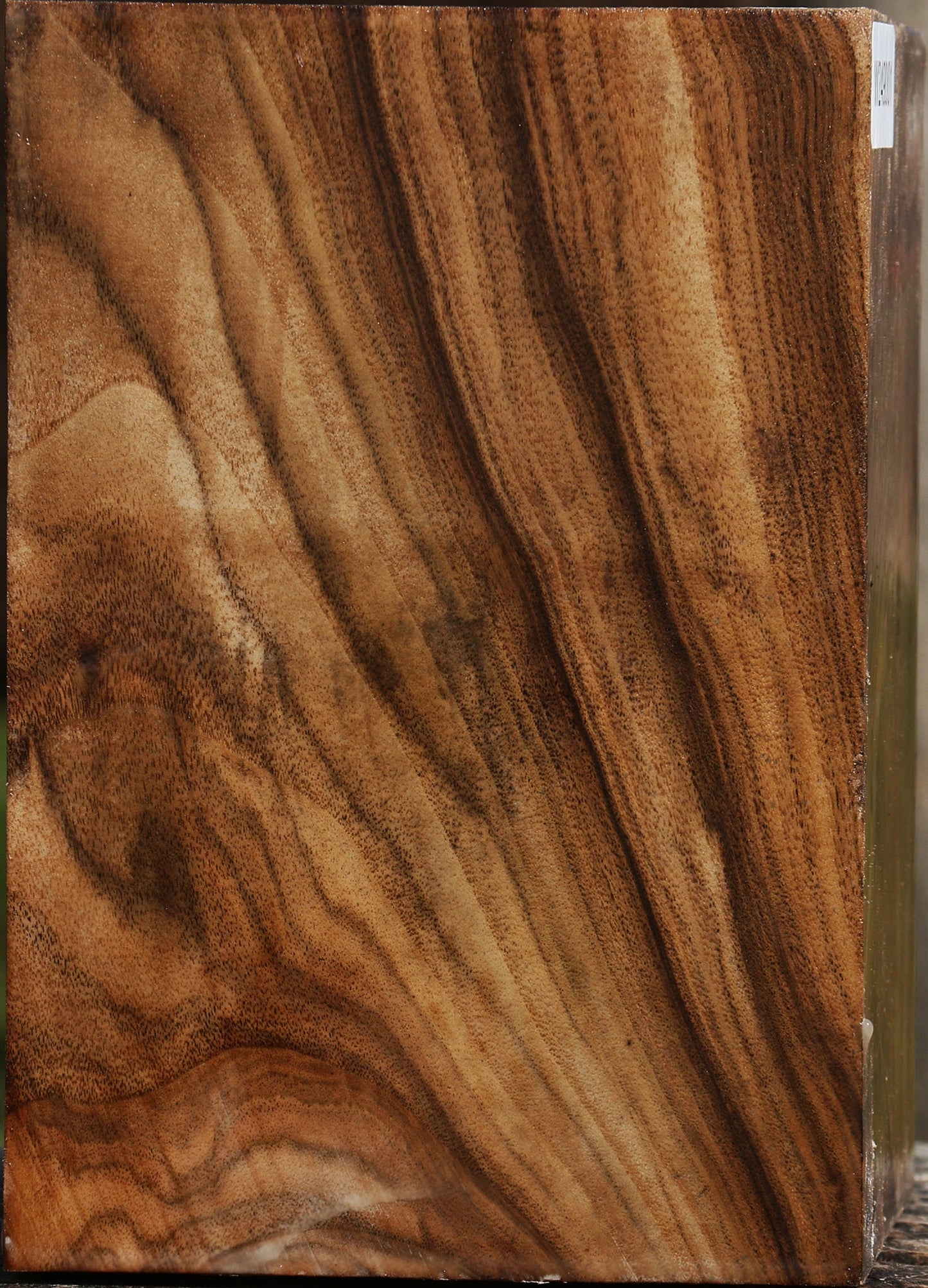 Claro Walnut Vessel Blank