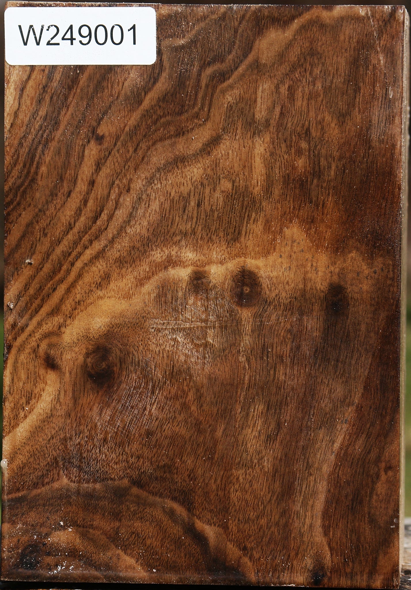 Claro Walnut Vessel Blank