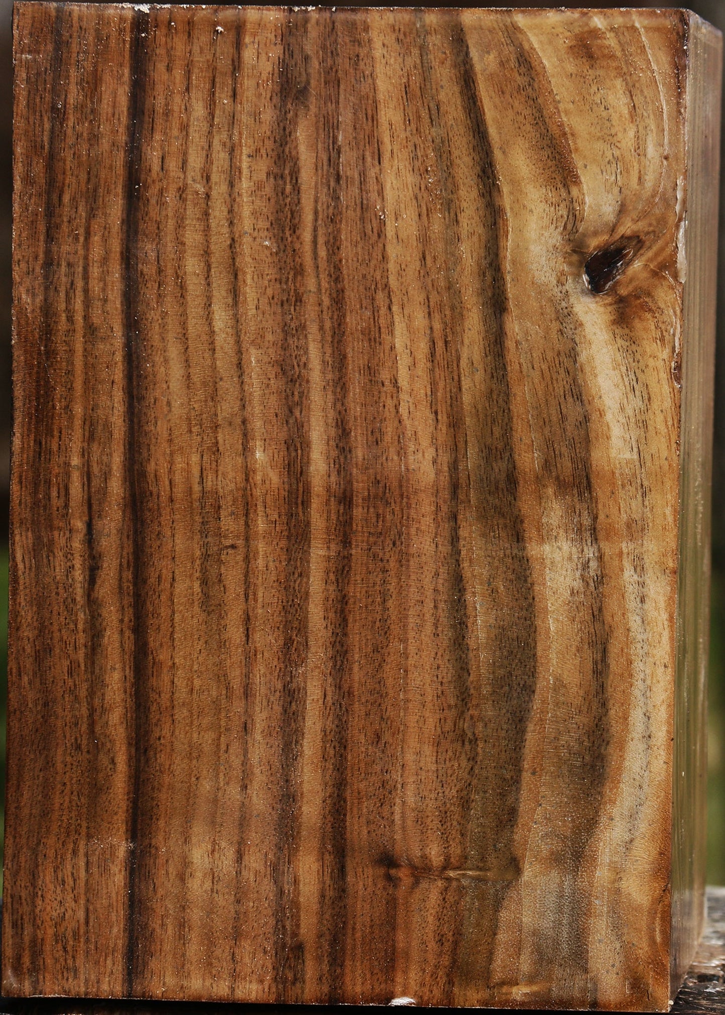 Claro Walnut Vessel Blank