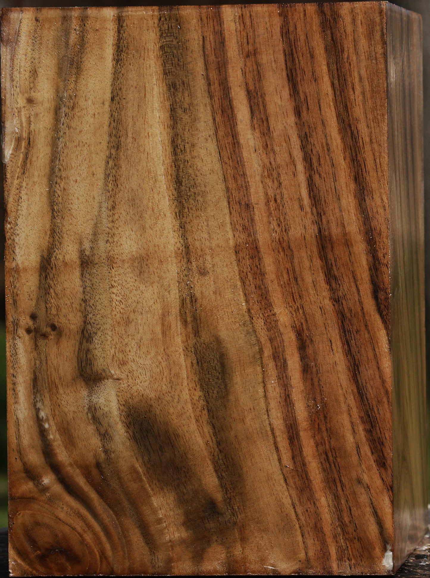 Claro Walnut Vessel Blank