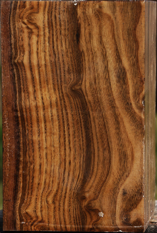 Claro Walnut Vessel Blank