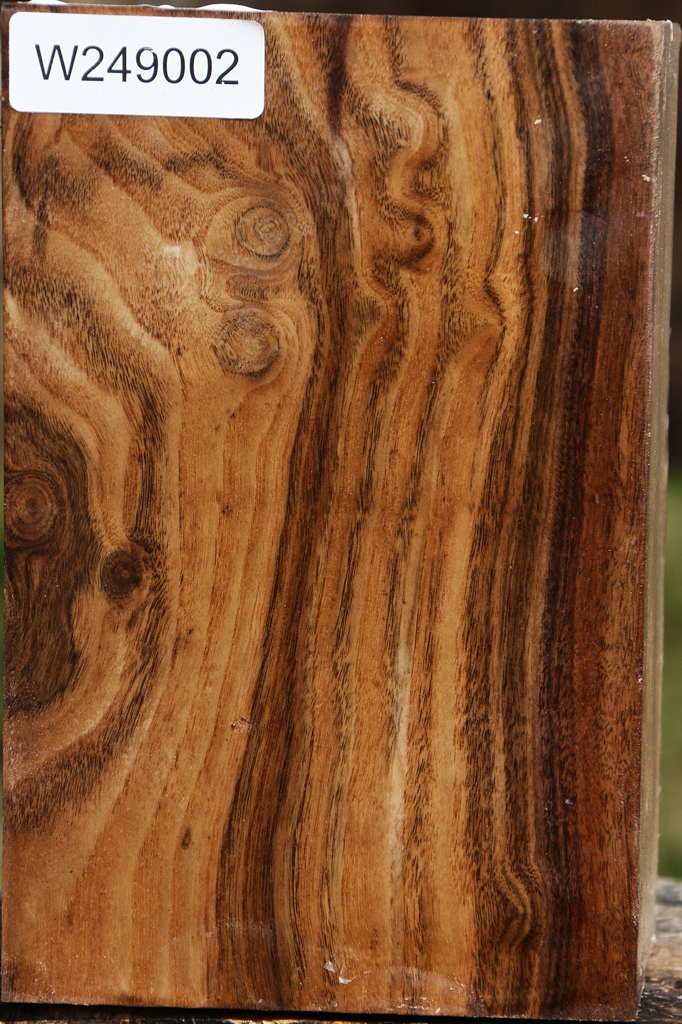 Claro Walnut Vessel Blank