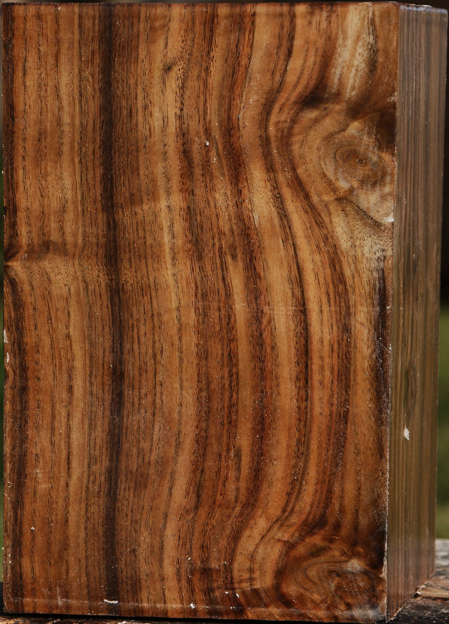 Claro Walnut Vessel Blank