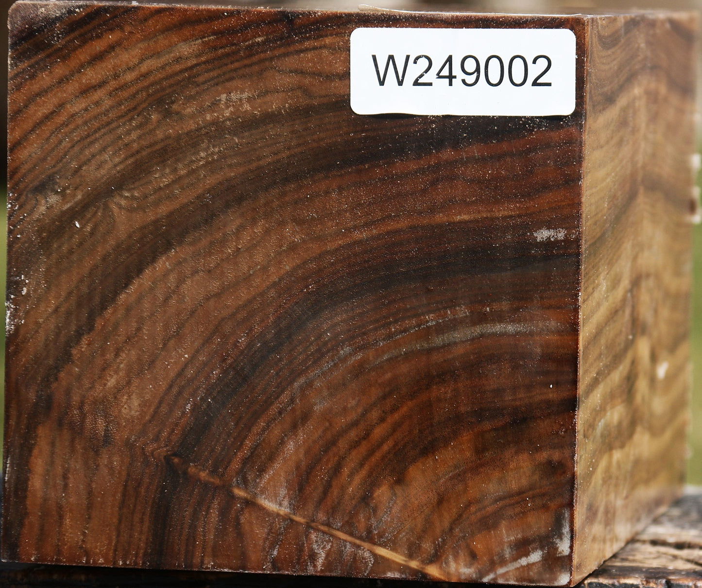 Claro Walnut Vessel Blank