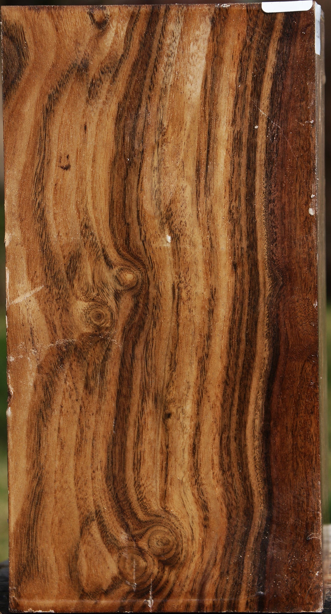 Claro Walnut Vessel Blank