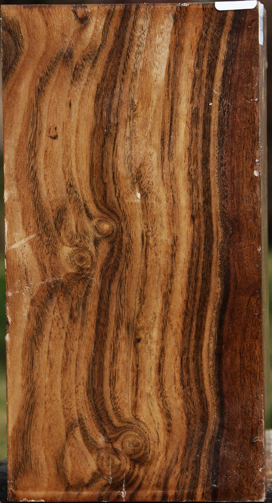 Claro Walnut Vessel Blank