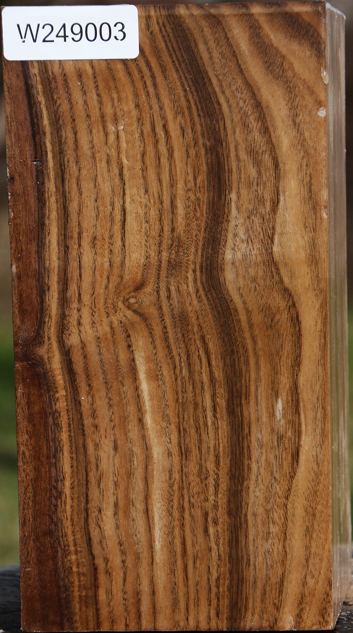 Claro Walnut Vessel Blank