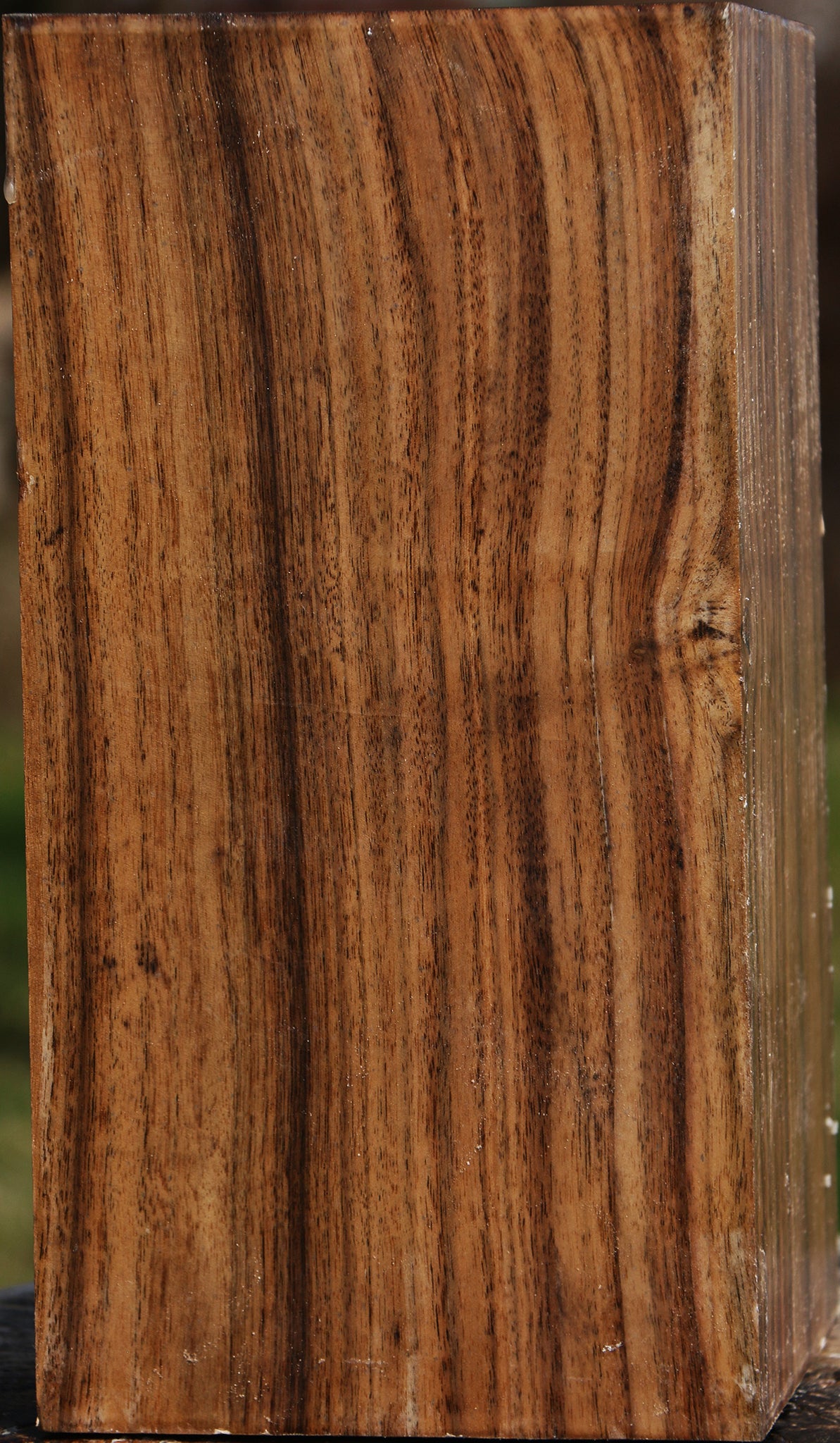 Claro Walnut Vessel Blank