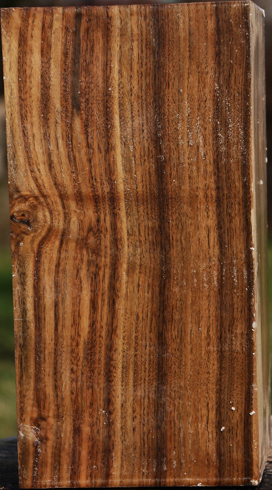 Claro Walnut Vessel Blank