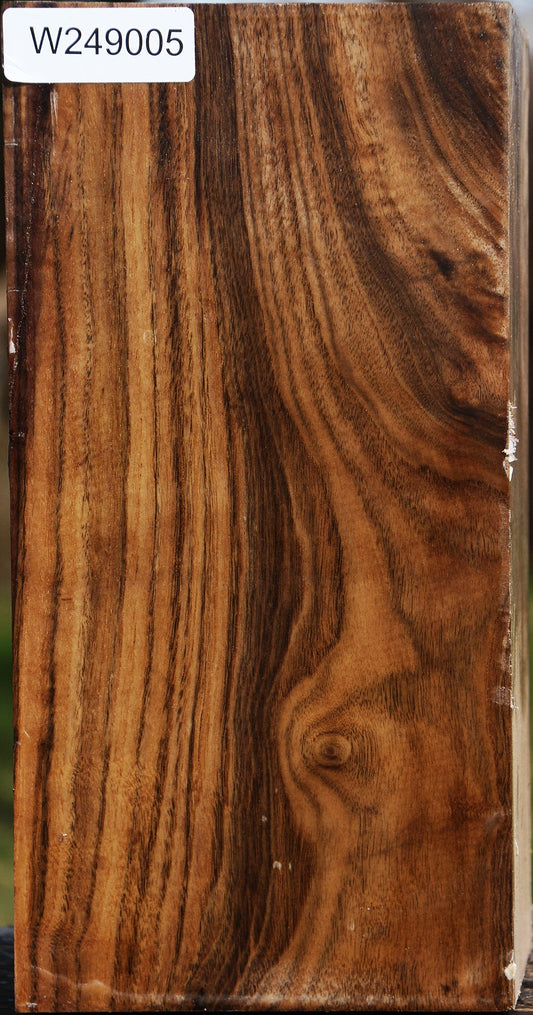 Claro Walnut Vessel Blank