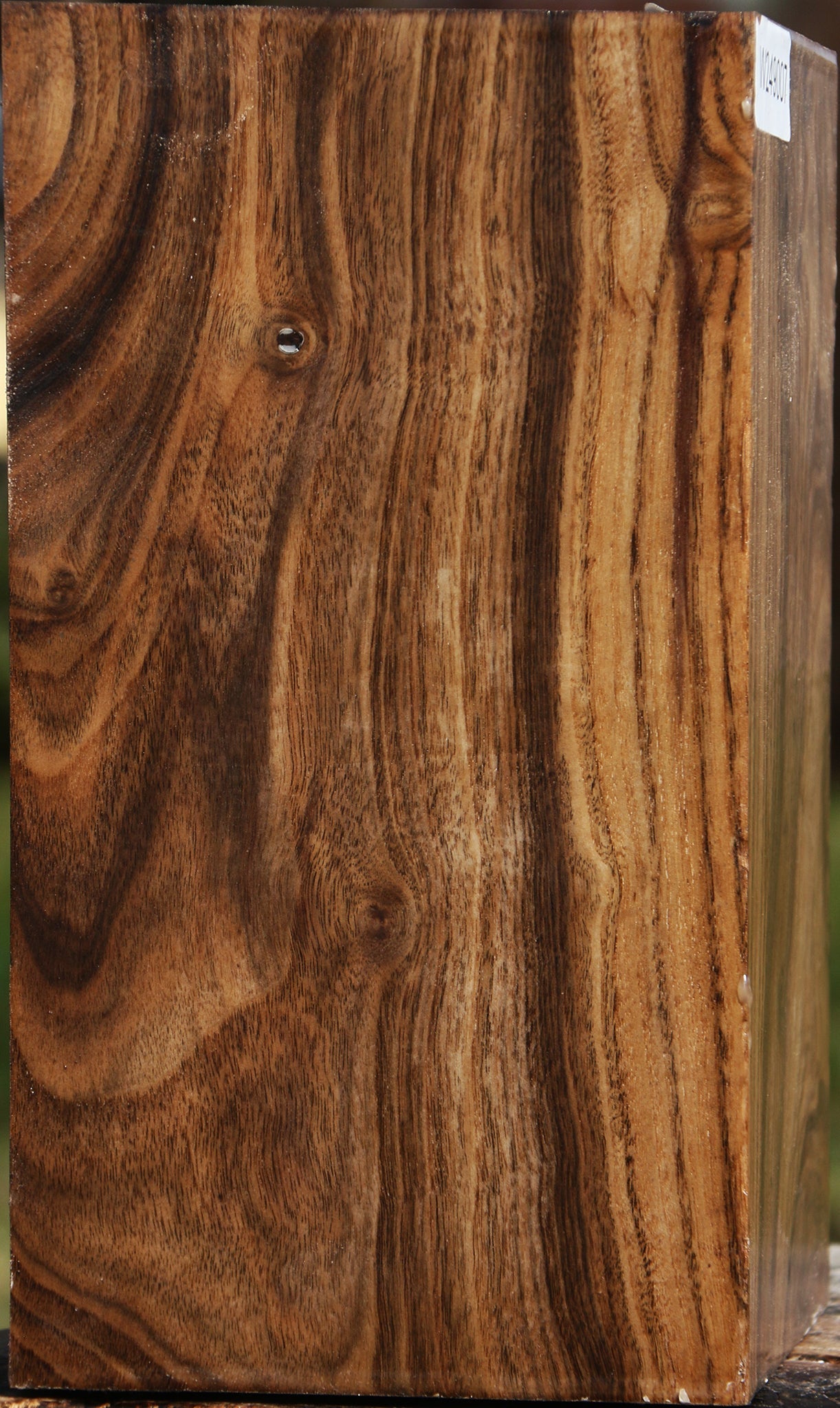 Figured Claro Walnut Vessel Blank