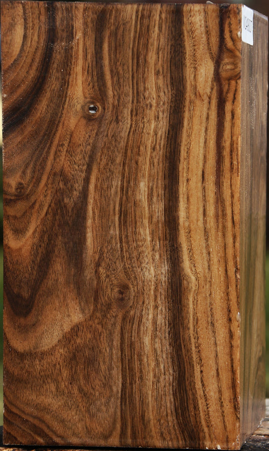 Figured Claro Walnut Vessel Blank