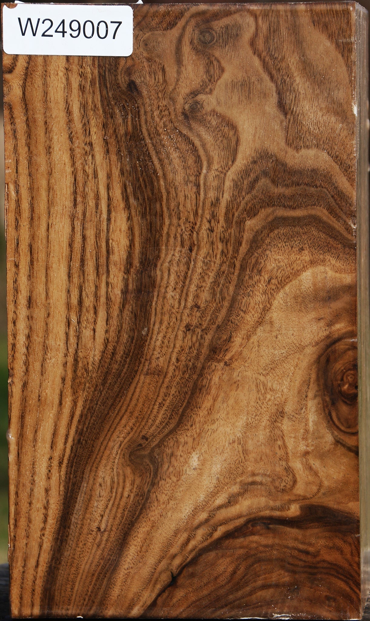 Figured Claro Walnut Vessel Blank