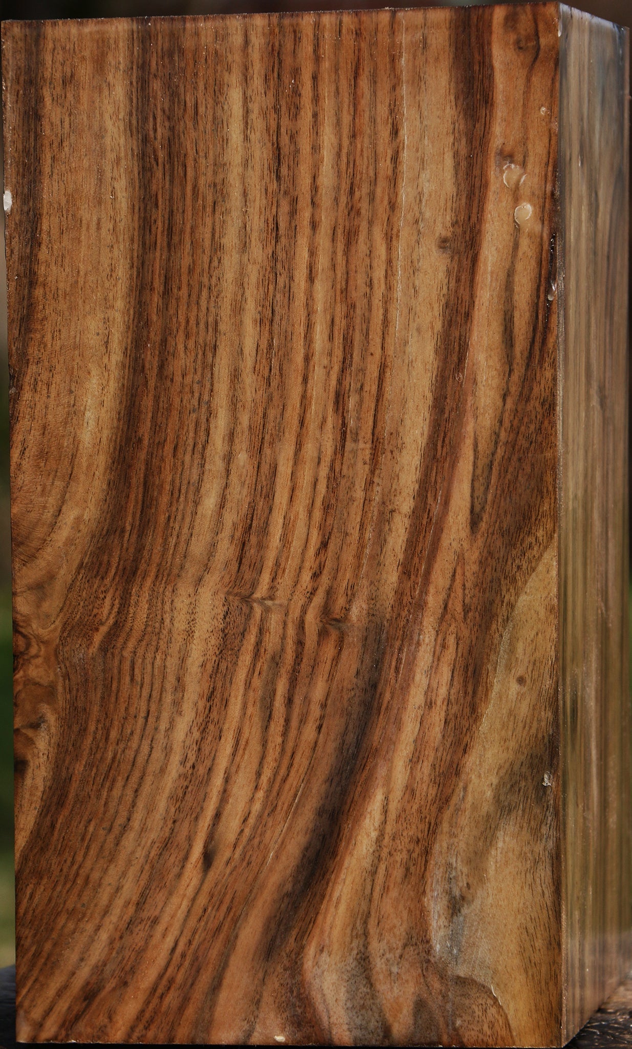 Figured Claro Walnut Vessel Blank