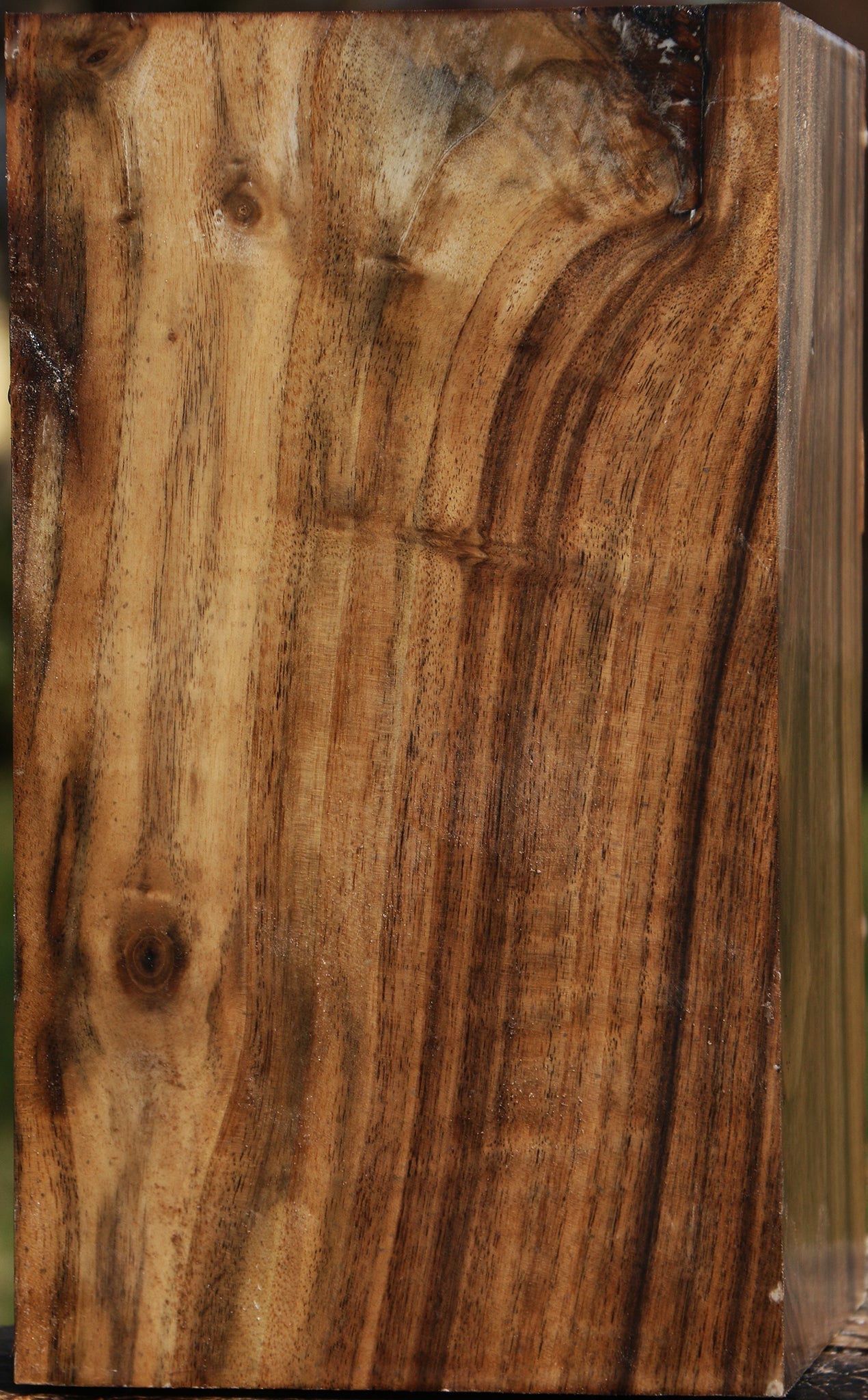 Figured Claro Walnut Vessel Blank