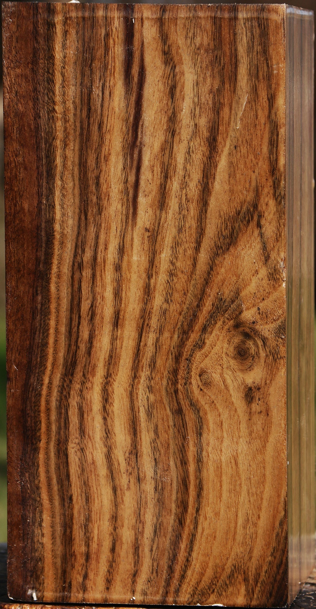 Claro Walnut Vessel Blank