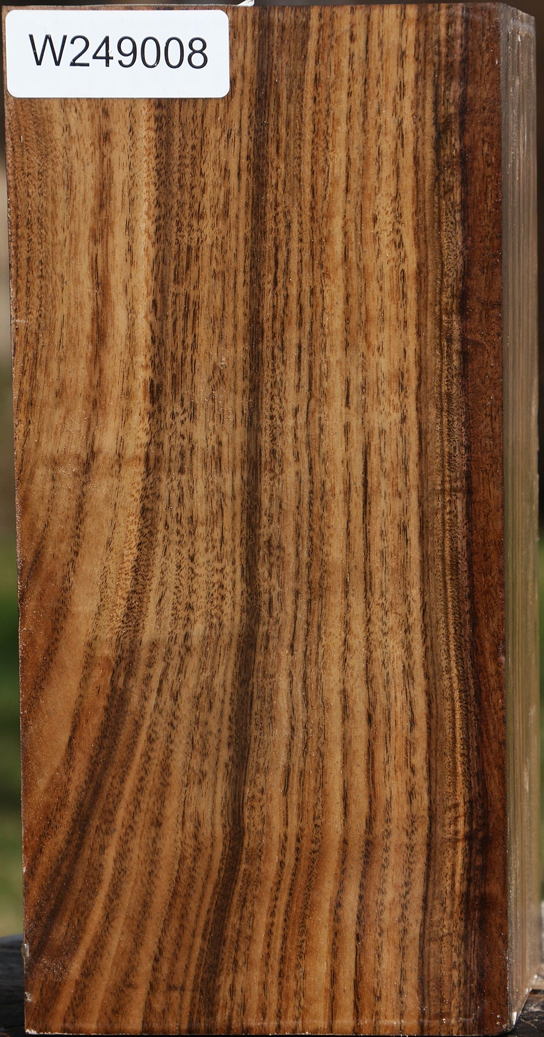 Claro Walnut Vessel Blank