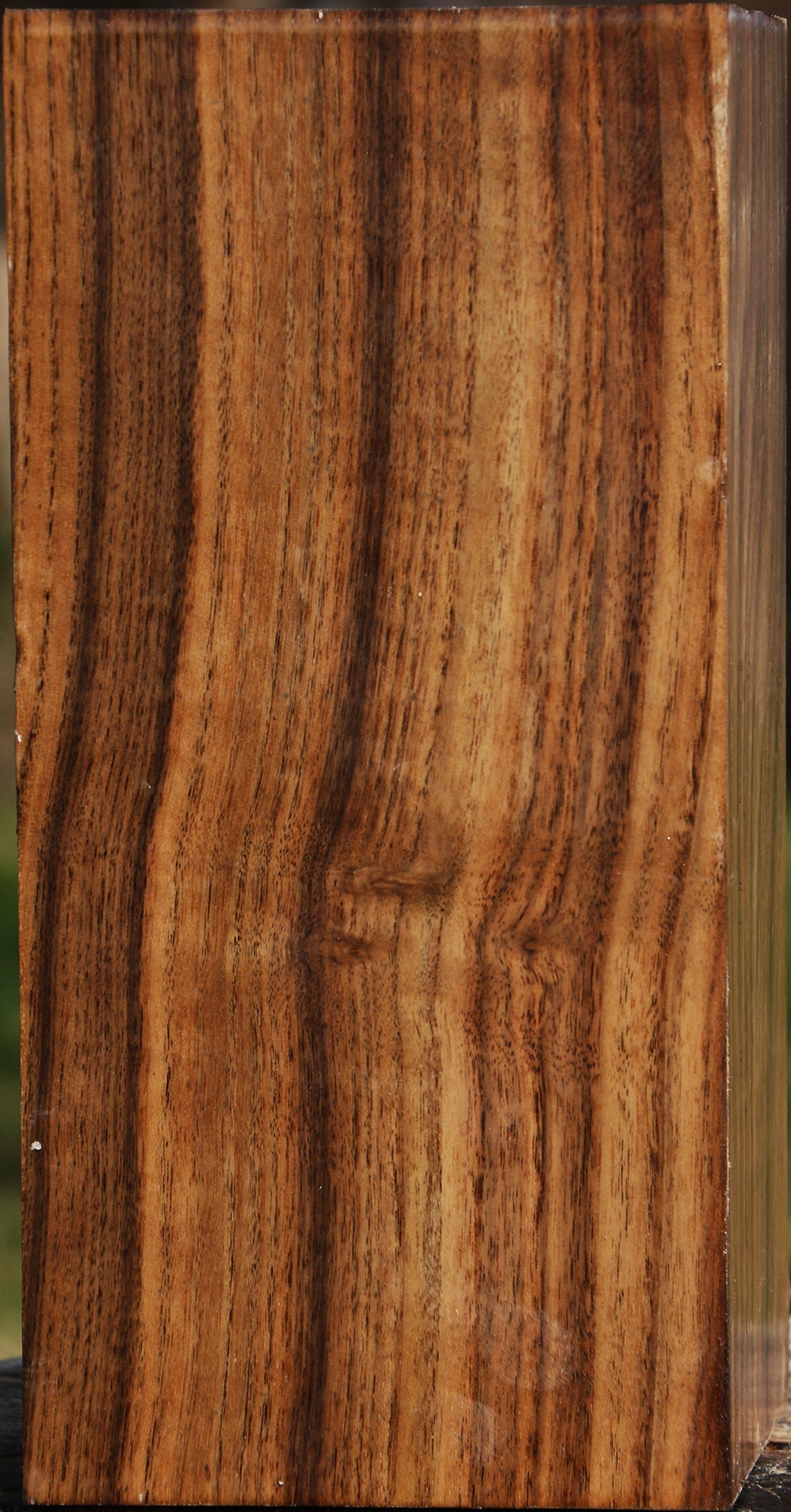 Claro Walnut Vessel Blank