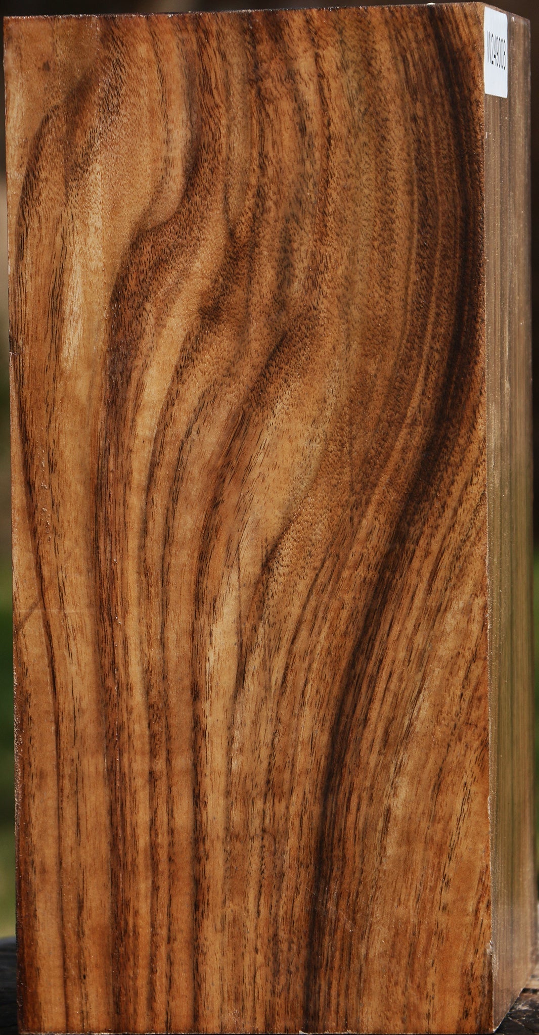 Claro Walnut Vessel Blank