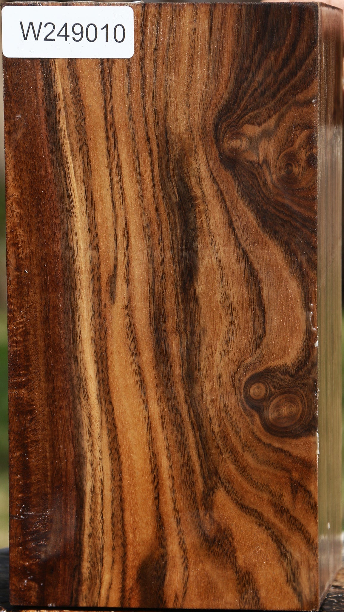 Claro Walnut Vessel Blank