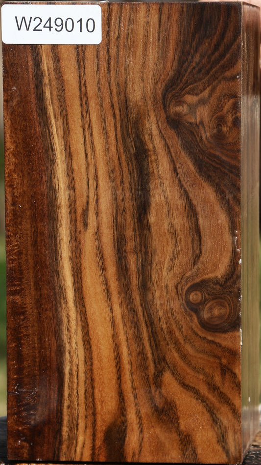 Claro Walnut Vessel Blank