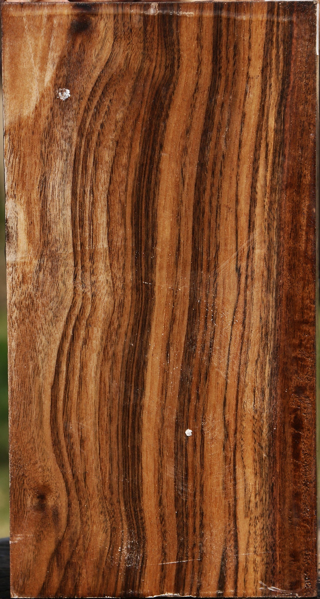 Claro Walnut Vessel Blank