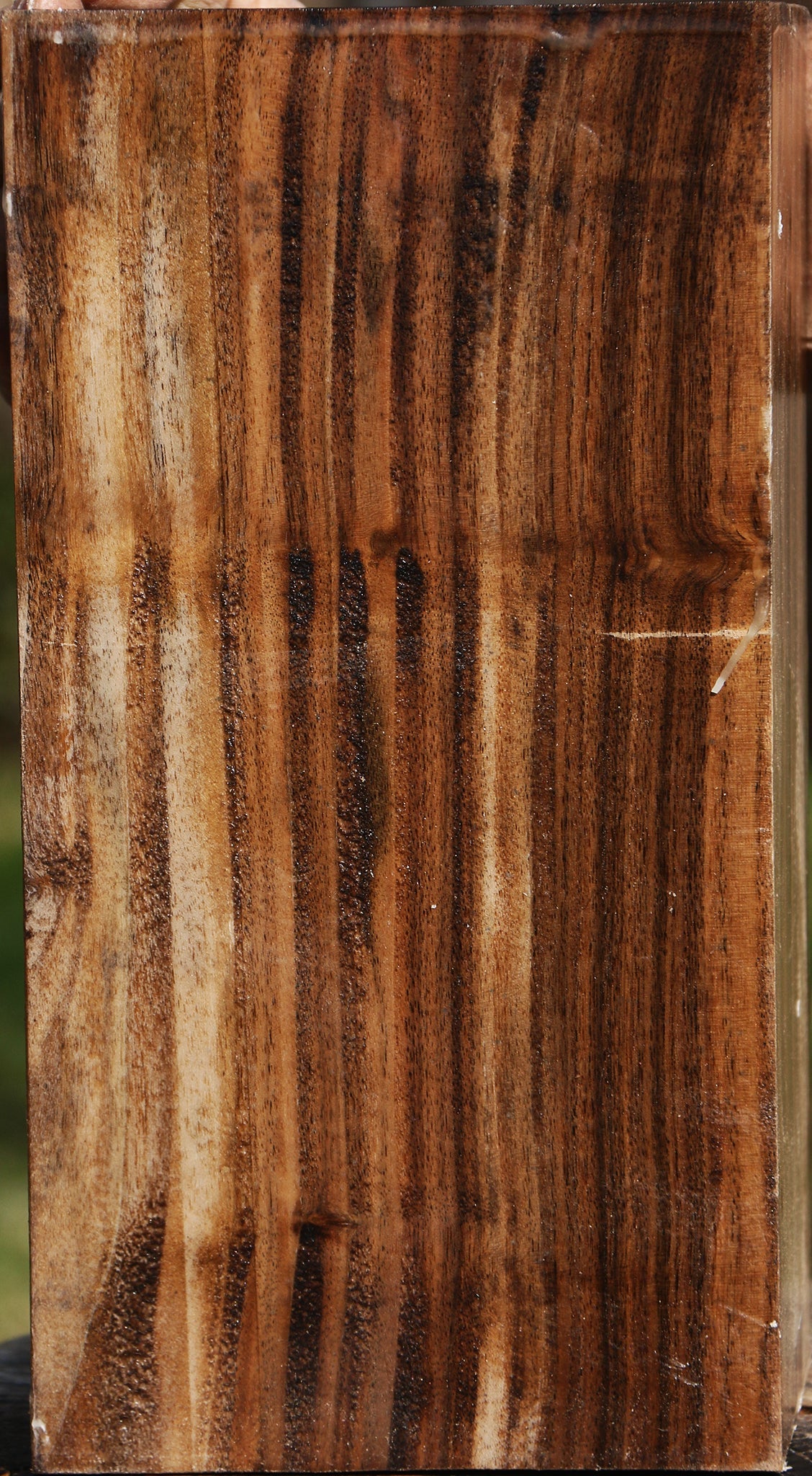 Claro Walnut Vessel Blank