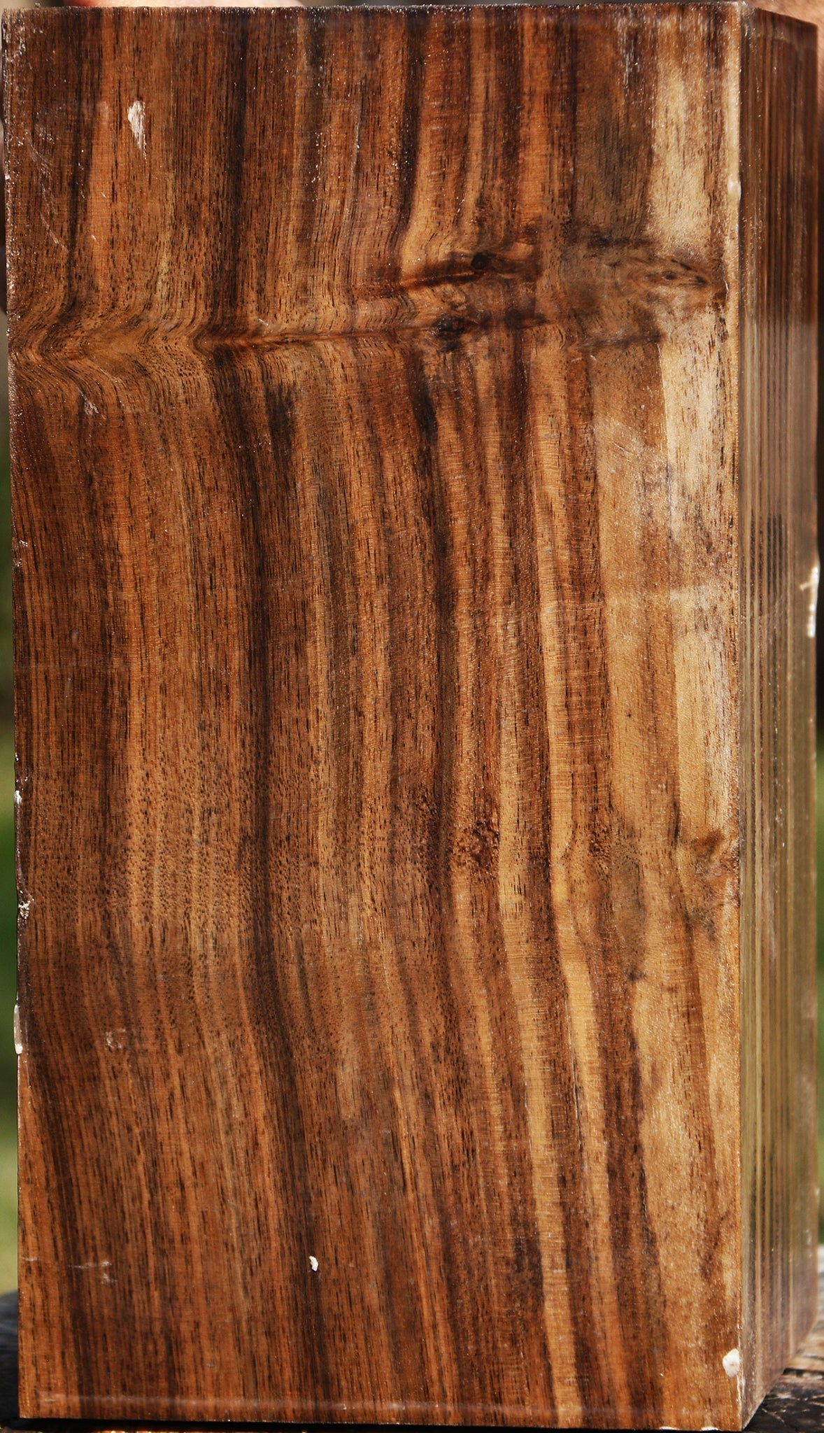 Claro Walnut Vessel Blank