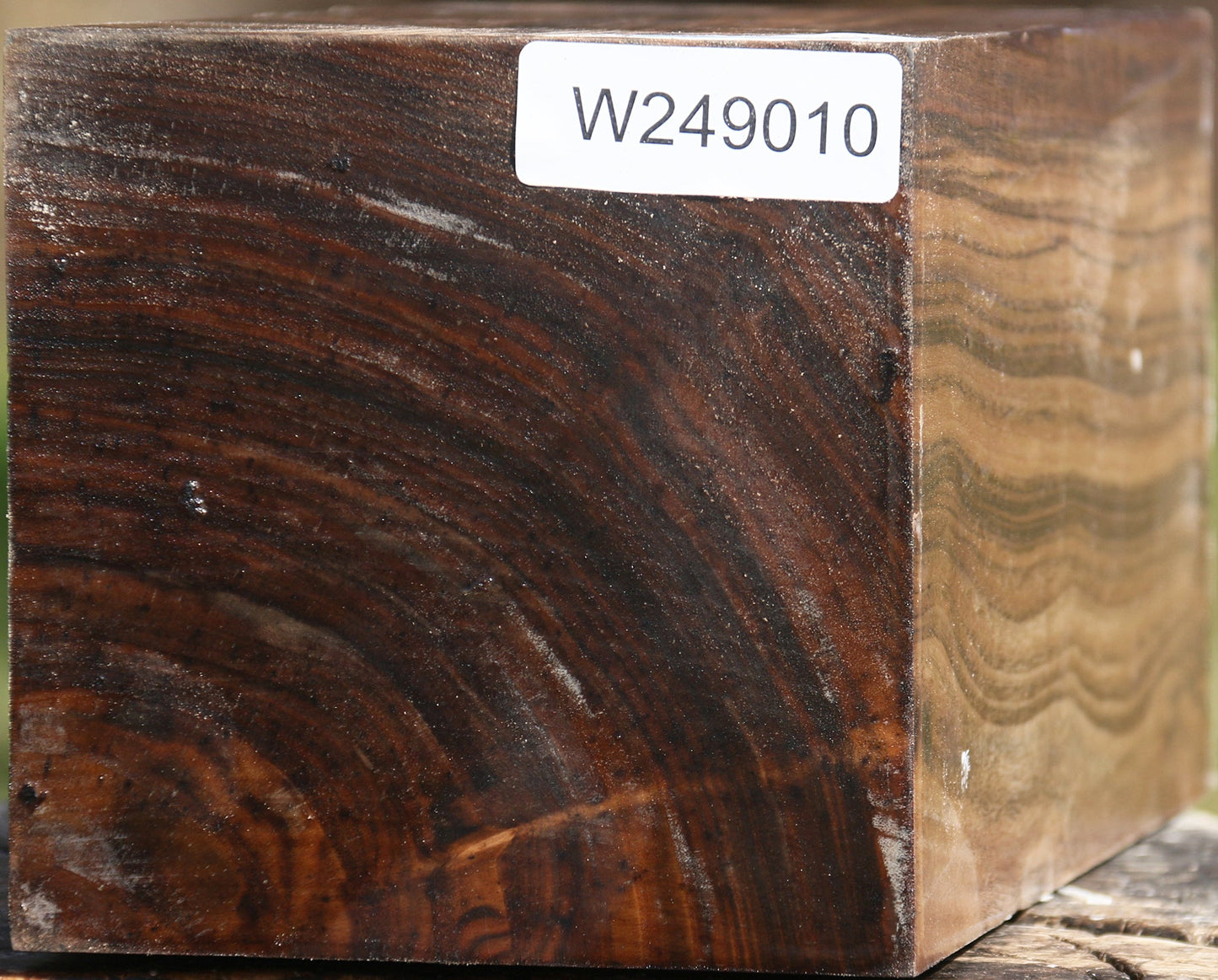 Claro Walnut Vessel Blank