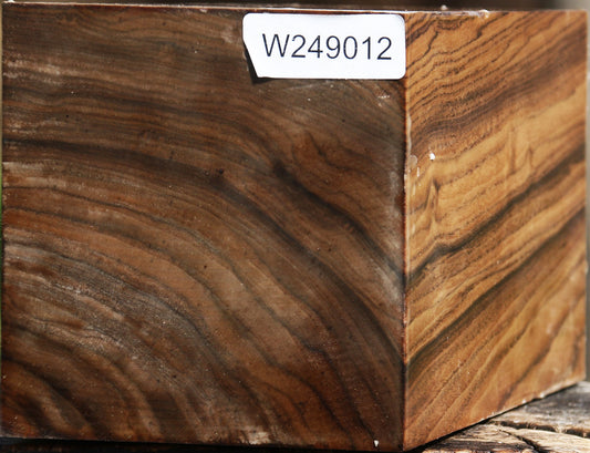 Claro Walnut Vessel Blank