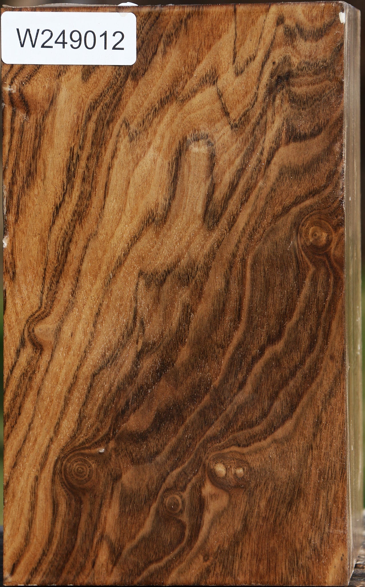 Claro Walnut Vessel Blank