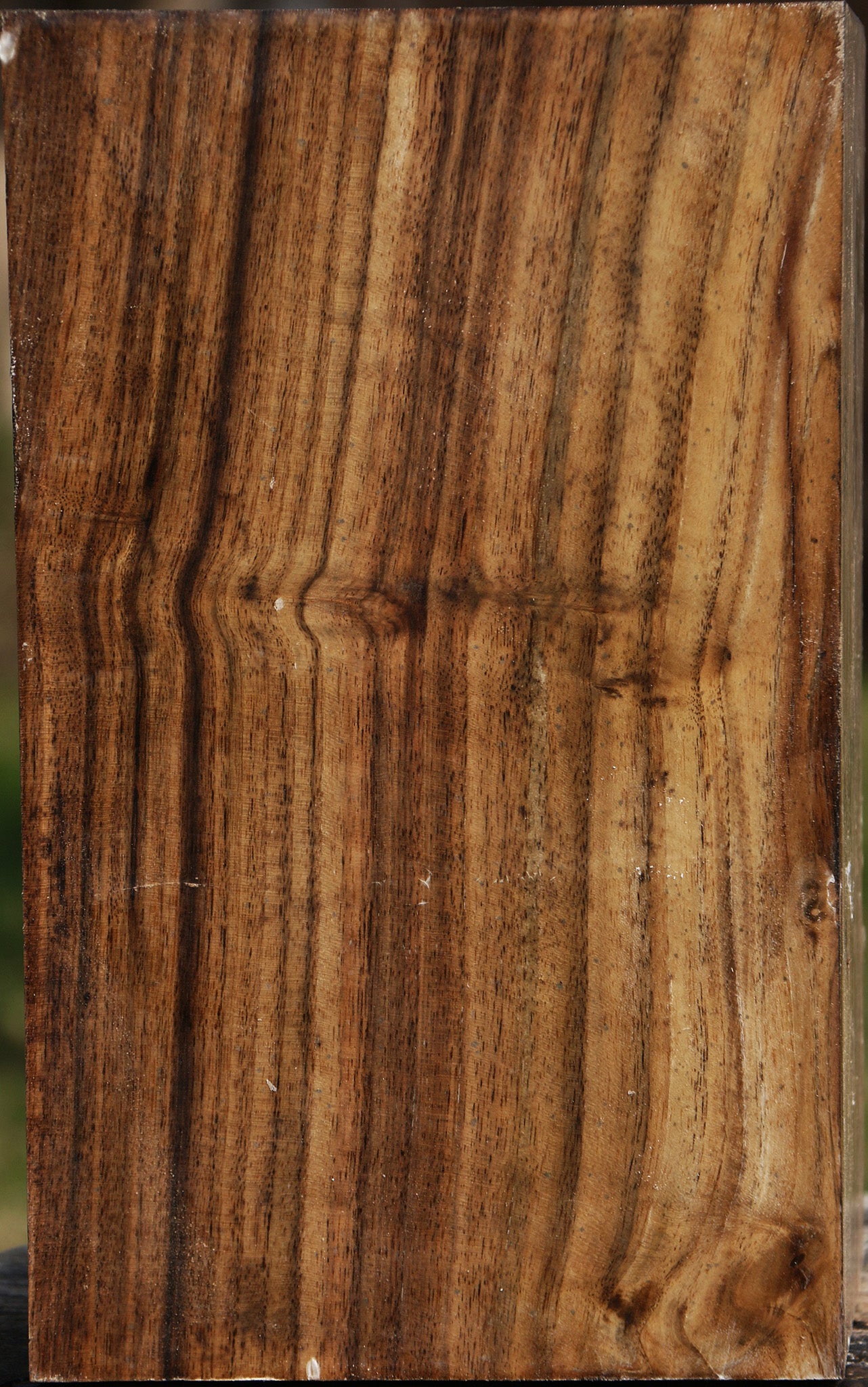 Claro Walnut Vessel Blank