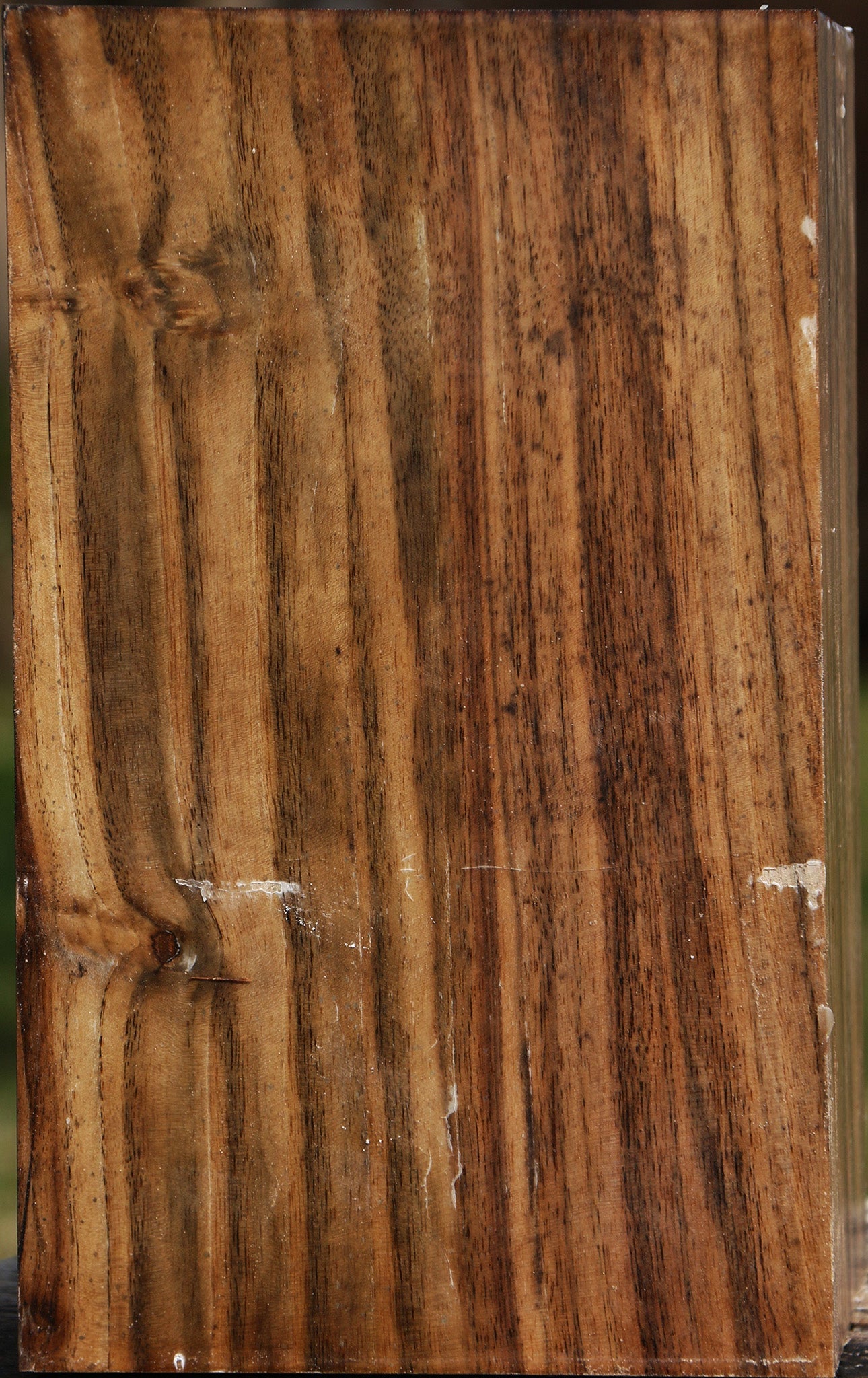 Claro Walnut Vessel Blank