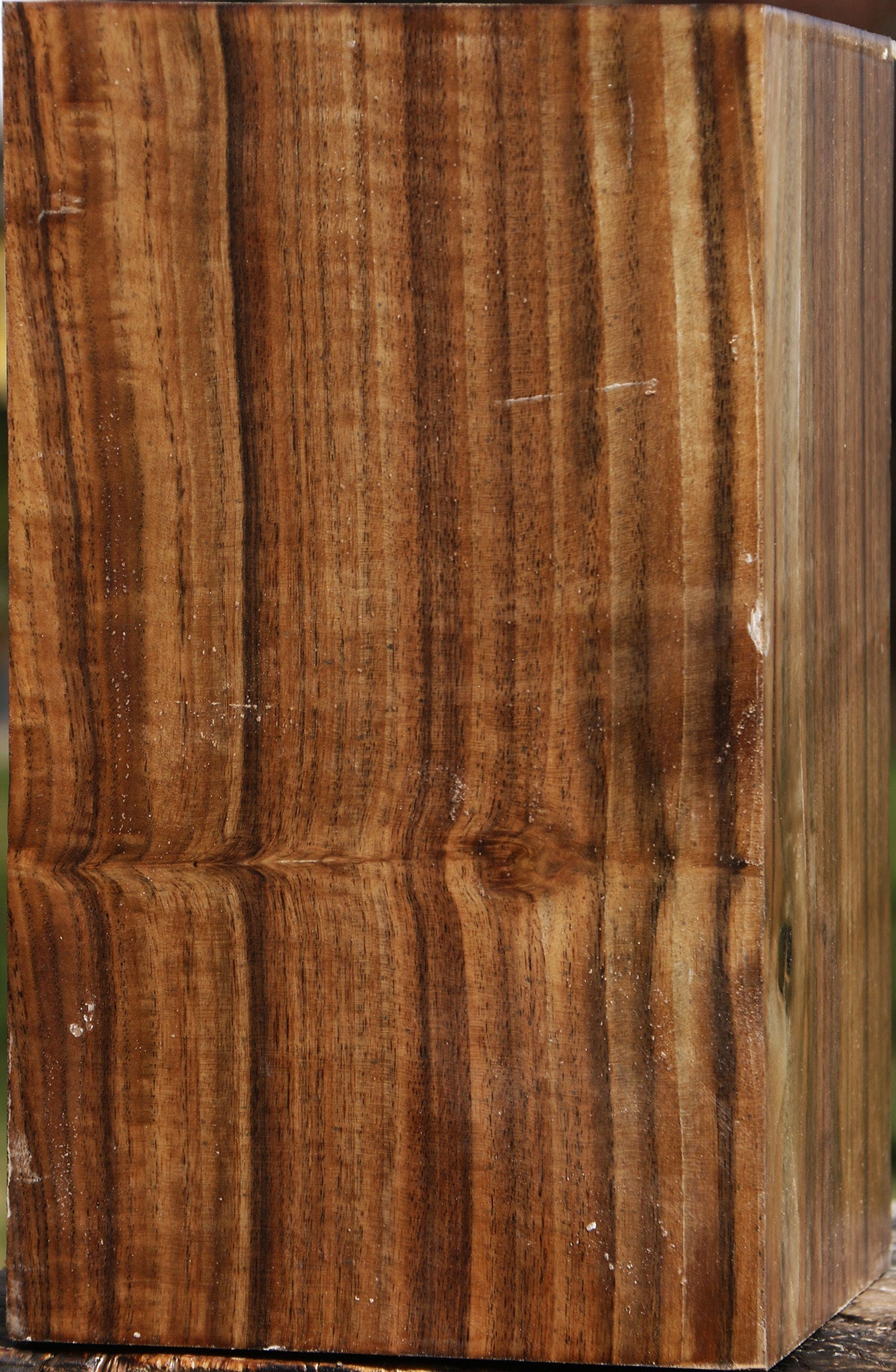 Claro Walnut Vessel Blank