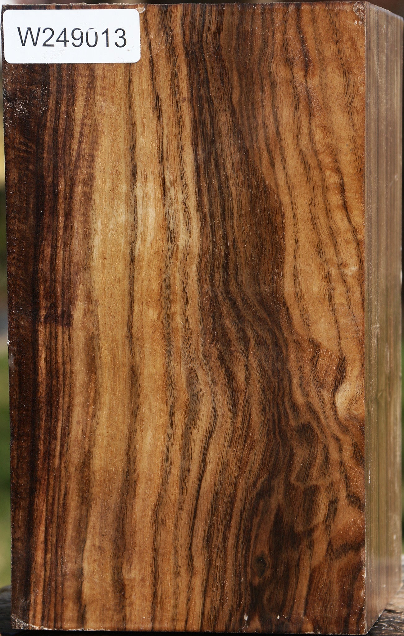 Claro Walnut Vessel Blank