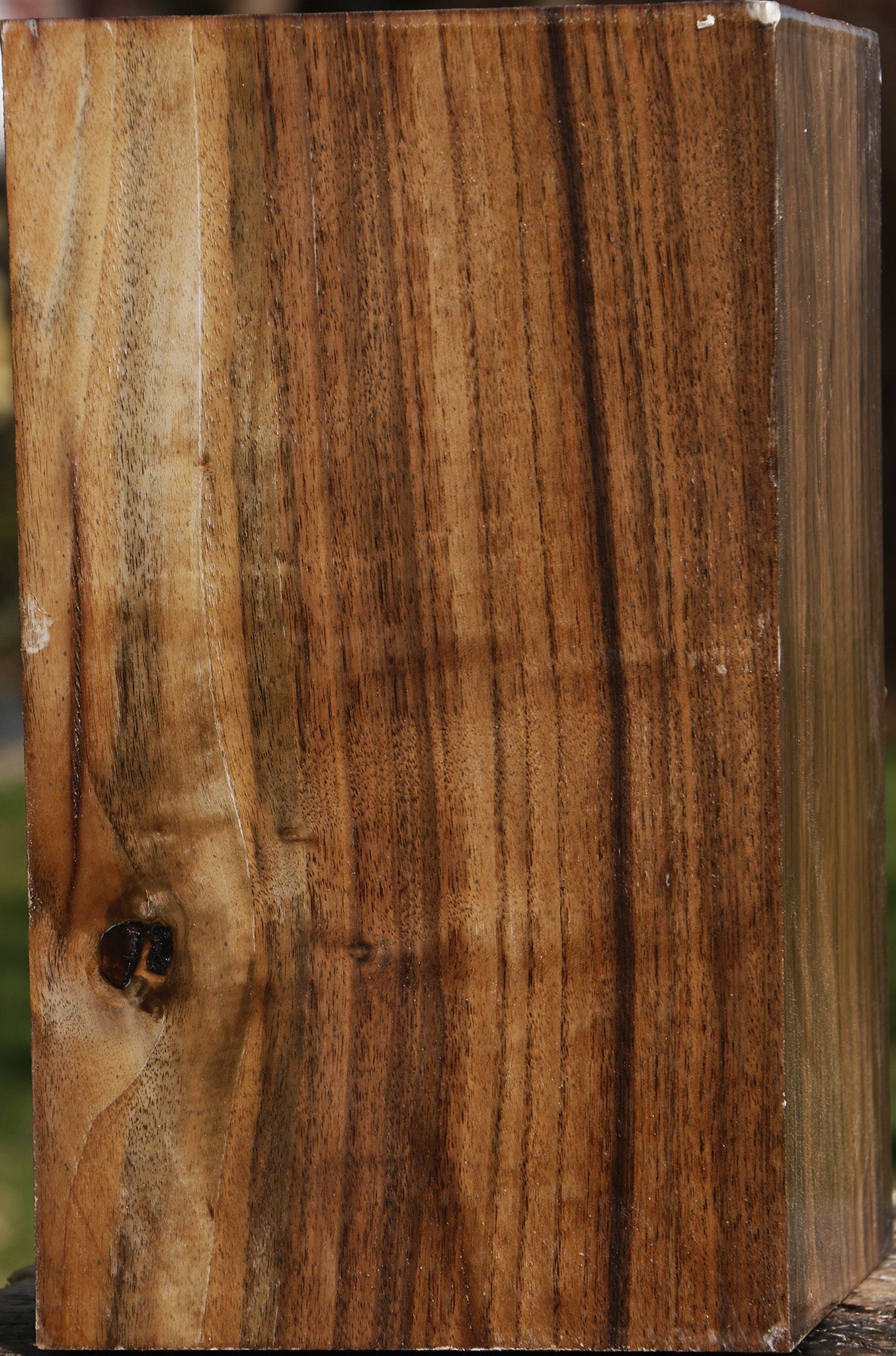 Claro Walnut Vessel Blank